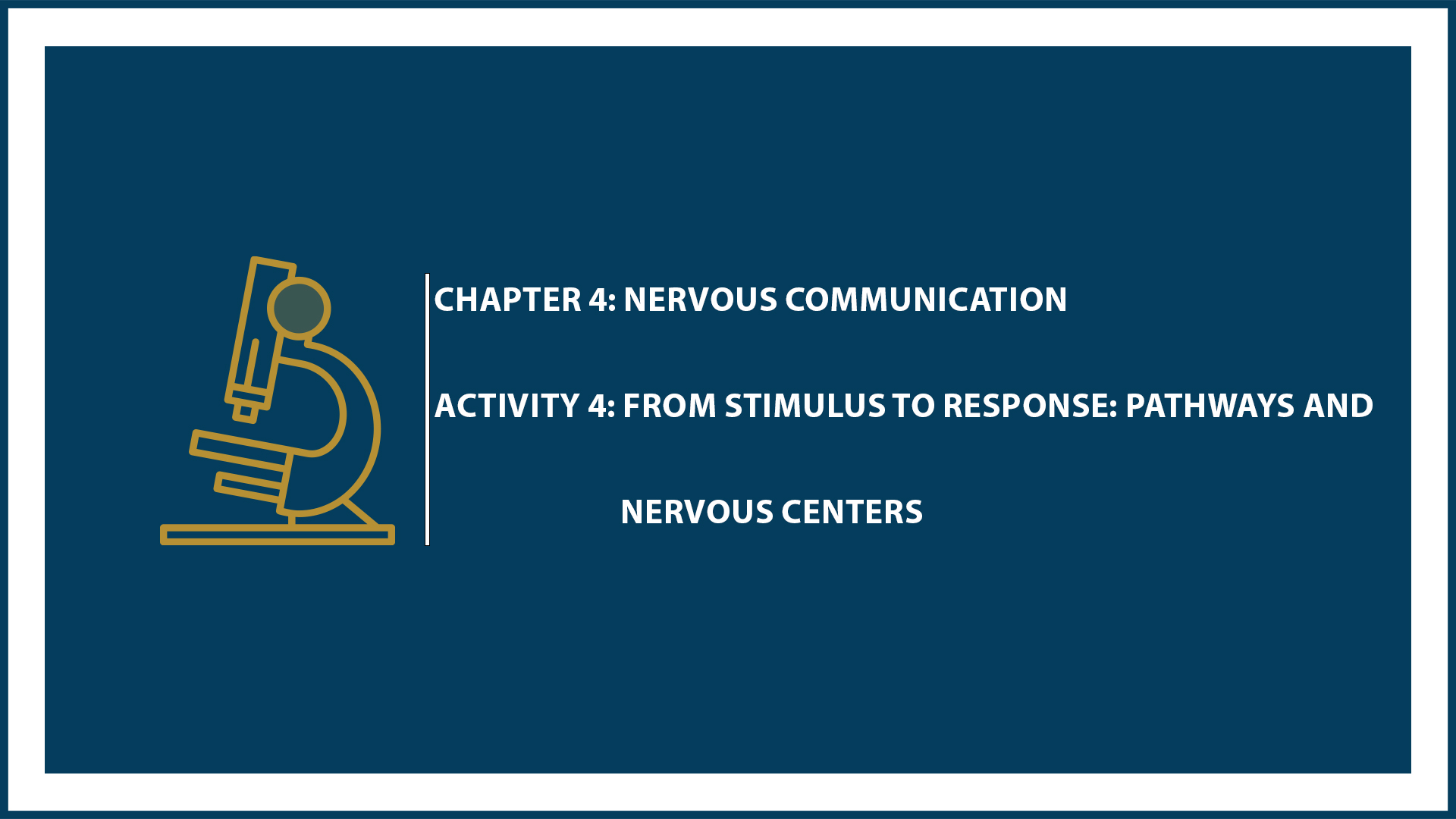 Chapter 4: Activity 4: From Stimulus to Response: Pathways and Nervous Centers
